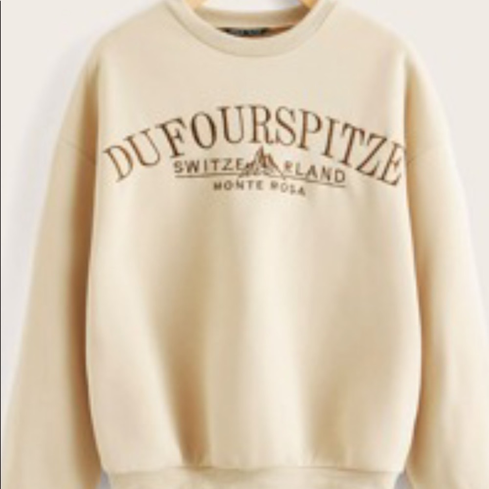 Shein Brown Crewneck Sweatshirt